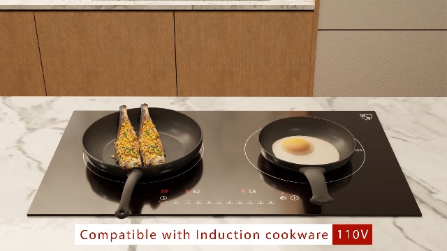 Amazon.com: K&H 2 Burner Dual Double 24 Inch Built-in Induction