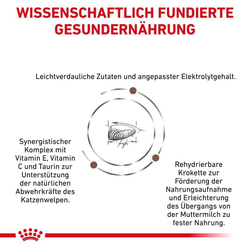 Royal Canin Gastrointestinal Kitten Feline | 4er Pack | 4 x 400 g | Diät-Alleinfuttermittel für Kätzchen | Kann dabei helfen Störungen im Gastrointestinaltrakt zu verringern