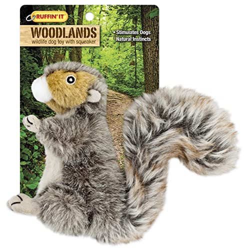 Reaowazo Woodlands Plush Squirrel Dog Toy, Small
