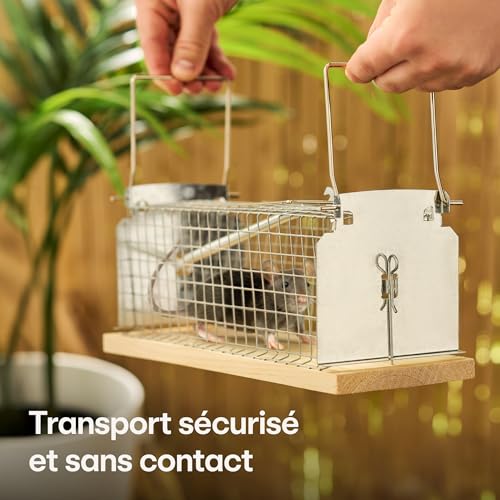 Praknu Cage Piège à Rat Vivant - 30 cm Grand - Réutilisable Piege a Rongeur - pour Les Rats et Les Souris – vue 3