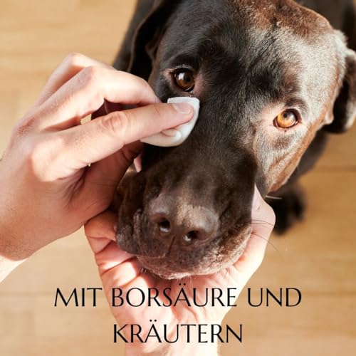 green idea Augentrost - Euphrasia Augenpflege für Hunde - AUGENTROPFEN mit Borsäure - Augenreiniger für Hunde - lindern Augenjucken und Reizungen - Sichere und schonende Augenpflege 50 ml