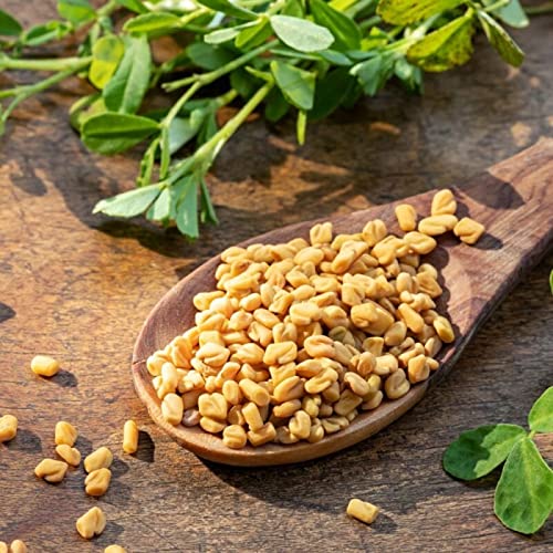 Foto von NATUSAT Bockshornkleesamen - pflanzlicher Lebertran mit natürlichem Vitamin D, Ergänzungsfutter für Pferde (3 kg)