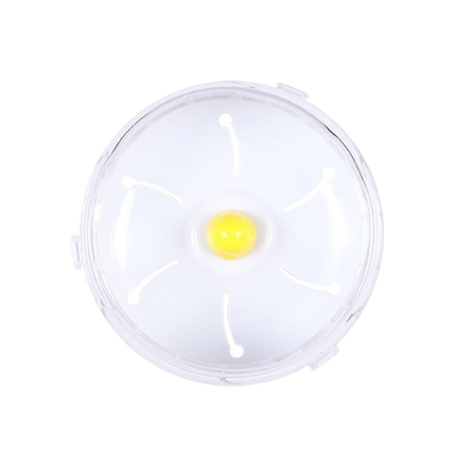 Ruota criceto Esercizio silenzioso Spinner che corre for gerbilli topi piccoli animali Articoli for domestici per animali domestici