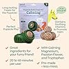 WOOF Pupsicle Refill Pops for Calming - Long-Lasting Refills for The Pupsicle Toy to Promote Calm - Calming Dog Treats - Magnesium for Dogs- Small Pops - 10 Count #2