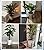 Plant Stand, Metal Plant Stand Adjustable Width 8-12 inches, Corner Plant Stand Mid Century Plant Holder for Indoor Outdoor Stable Display -1pack(Pot Not Included)