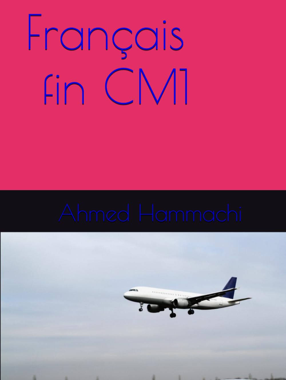 Français fin CM1