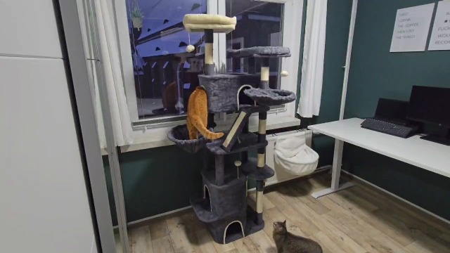 Hzuaneri Krabpaal groot, 210 cm, kattentoren voor Maine-kat, grote kat, meerlaagse krabpaal met grote zitstang, wasbare mat, kattenhuismeubel met 2 holletjes, 8 krabbomen, Beige MS21018YL