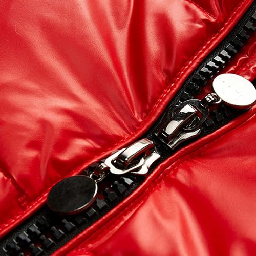 JEsilunmaMY Men's Thermal Shiny Hooded Puffer Jacket Winter Coats Water-Resistant Down Coats Insulated Padded Puffy Coat3
