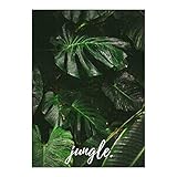 Das ganz besondere Geschenk zu jedem Anlass: Geburtstag, Muttertag, Weihnachten, Hochzeit, Valentinstag oder einfach für Zwischendurch!