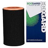 ECOGARD XA10634 Premium Engine Air Filter Fits 2015-2020 Alfa Romeo 4C