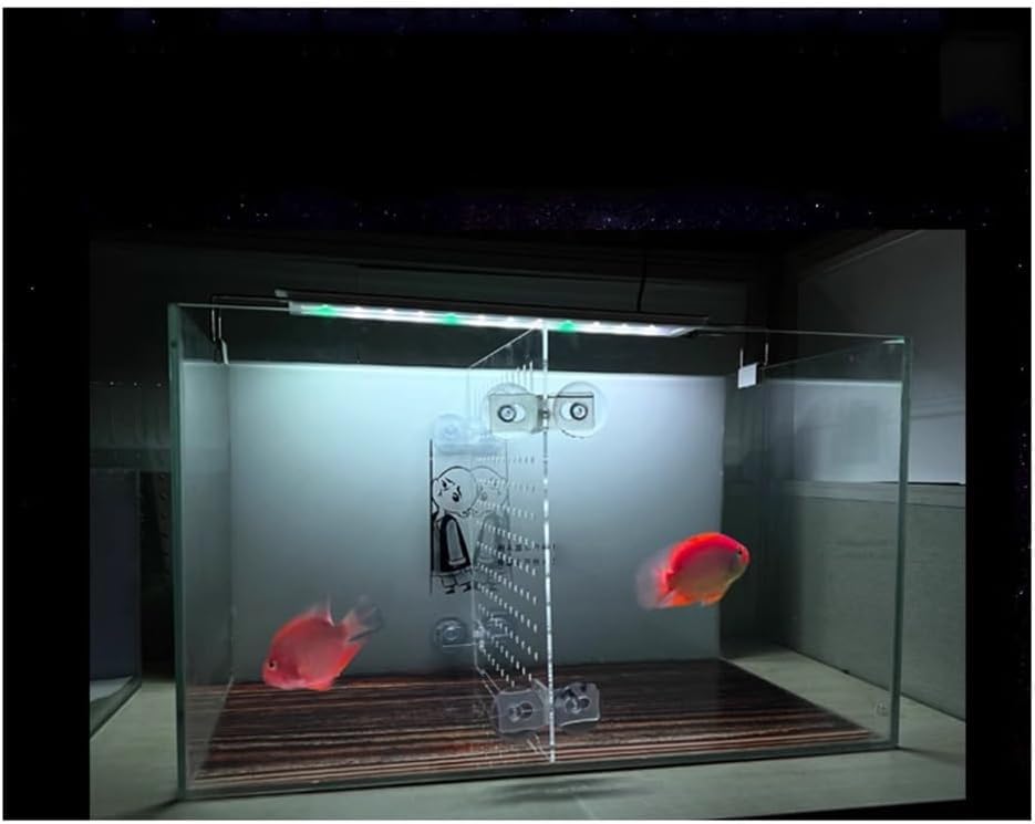 Separador acrílico para peceras, tablero de aislamiento transparente para particionar para evitar peleas de peces y tortugas