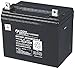 Lithonia Lighting ELB 1228 Lead Calcium Replacement Battery, 12-Volt