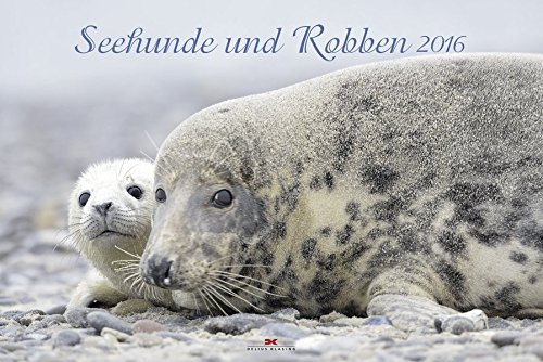 Seehunde und Robben 2016 Seehunde und Robben 2016