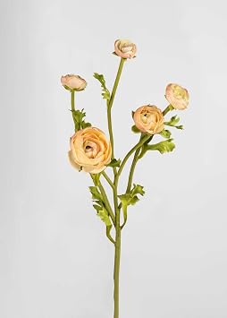 Radial Real Touch Faux Ranunculus in Peach - 21.5"