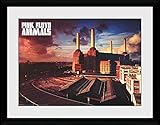 Dimensiones : 40 x 30 cm 1art1 Pink Floyd - Animals Póster De Colección Enmarcado (40 x 30cm)