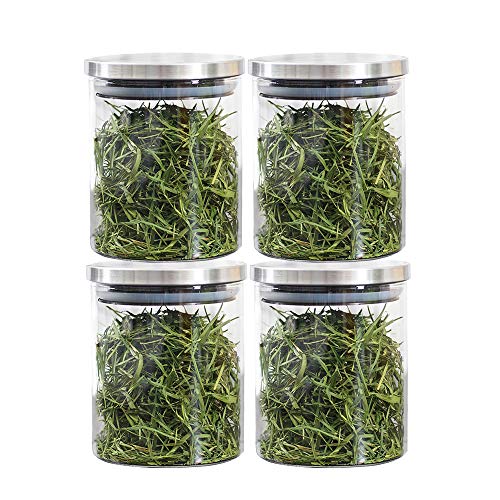 Best Loose Leaf Tea Storage Containers 10Reviewz