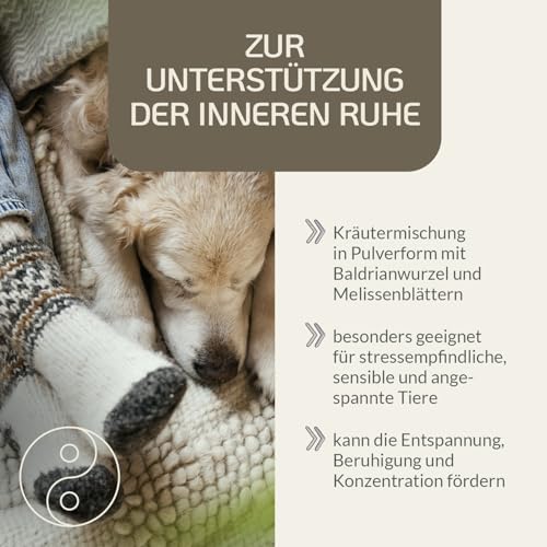 Provicell | Beruhigungsmittel für Hunde I Ideal für Silvester & Urlaub I Natürliche Entspannung mit Baldrian und Melisse I Mit Tierärzten in Deutschland entwickelt | RelaxVital Pulver 60 g