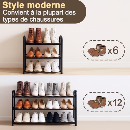 Meuble à Chaussures Extensible 3 Niveaux 6-12 Paires Mikvoyo