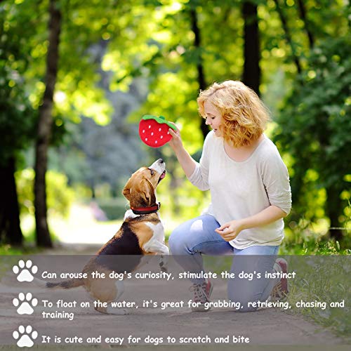 ULTECHNOVO 4Pcs Dog Squeaky Toy Pet Chew Brinquedos de Pelúcia Pelúcia Brinquedo Laranja Fruta Moran