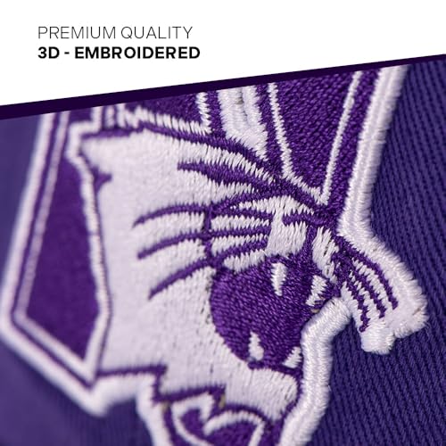 Gorra bordada ajustable Northwestern University púrpura miniatura 3
