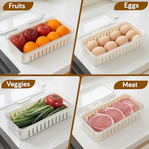 Image of HOKIPO BPA Free Food Grade Plastic Fridge Storage Containers with Lid - Crisper Containers for Fresh Vegetables, Fruits & Food | Freezer & Kitchen Organizer Set for Home Use (AR-6100)