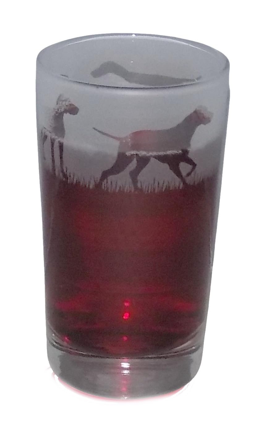 Hungarian Vizsla Hand Etched Highball Tumbler โ image 1