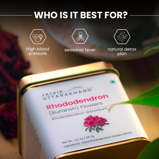 Image of Jaivik Uttarakhand Rhododendron (Buransh) Tea 56.7 g, Dried Loose Leaf Red Flower, Sweet, Pack of 1 Tin Can