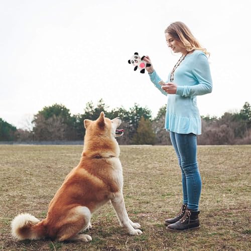 Legend Sandy Quietschendes Plüsch-Hundespielzeug-Set für Welpen, kleines gefülltes Kauspielzeug für Welpen, 6 Hundespielzeuge mit Quietschern,Haustierspielzeug für kleine und mittelgroße Hunde