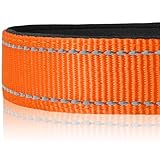 Joytale Halsband Hund, Gepolstertes Hundehalsband Breit aus Neopren Nylon Hundehalsband Verstellbar für Mittelgroße Hunde, Weich und Reflektierend Hundehalsbänder, M, Orange