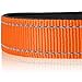 Joytale Halsband Hund, Gepolstertes Hundehalsband Breit aus Neopren Nylon Hundehalsband Verstellbar für Mittelgroße Hunde, Weich und Reflektierend Hundehalsbänder, M, Orange