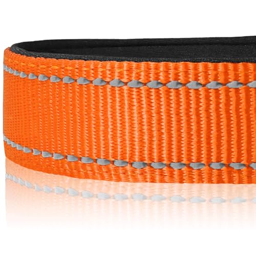 Joytale Halsband Hund, Gepolstertes Hundehalsband Breit aus Neopren Nylon Hundehalsband Verstellbar für Mittelgroße Hunde, Weich und Reflektierend Hundehalsbänder, M, Orange