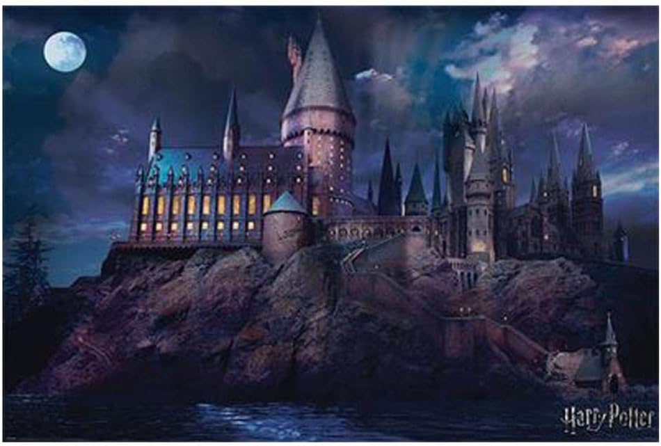 Wizarding World Harry Potter (Hogwarts) Maxi Poster, Multi Coloured, 61 x 91.5cm