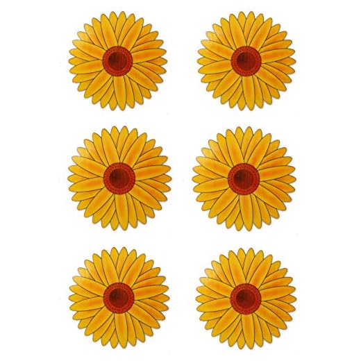 Effective Indoor/Outdoor Fly Traps