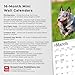 Blue Heelers | 2026 7 x 14 Inch (Hanging) Monthly Mini Wall Calendar | BrownTrout | Animals Dog Breeds