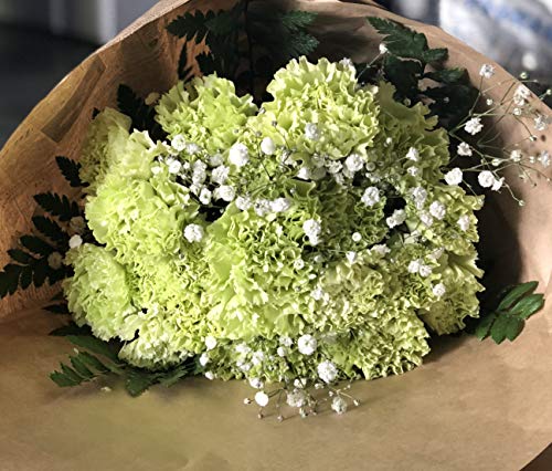 PURIZA ̓ J[l[V  ԑ 24{ ݑt j a LO O[