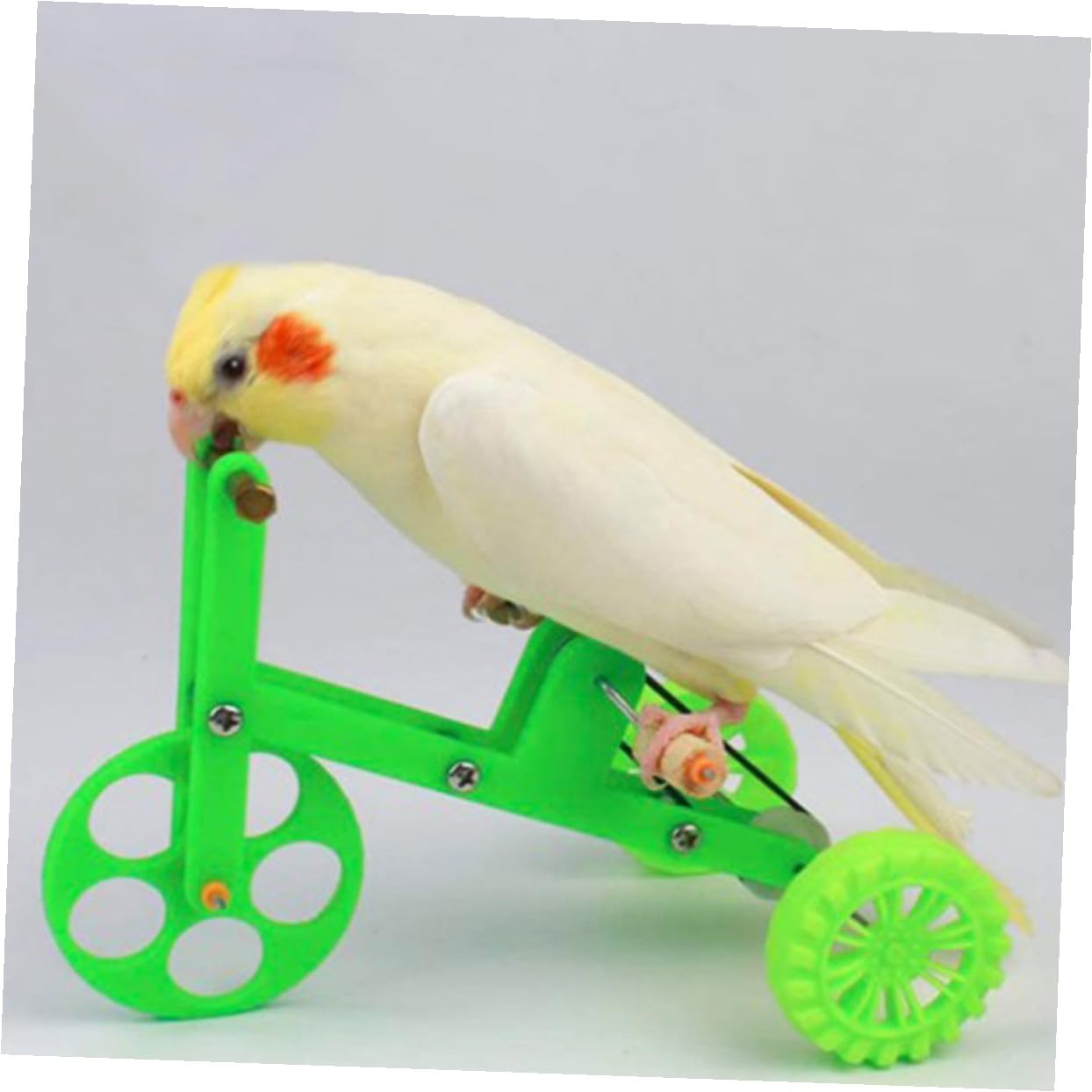 VANZACK 4juegos Juguete De Entrenamiento De Inteligencia para Aves Bicicleta y Anillo Interactivo para Periquitos y Loros para Estimulación Mental y Diversión Educativa