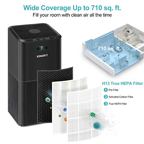 https://m.media-amazon.com/images/I/51CcllbLctL._SL500_.jpg