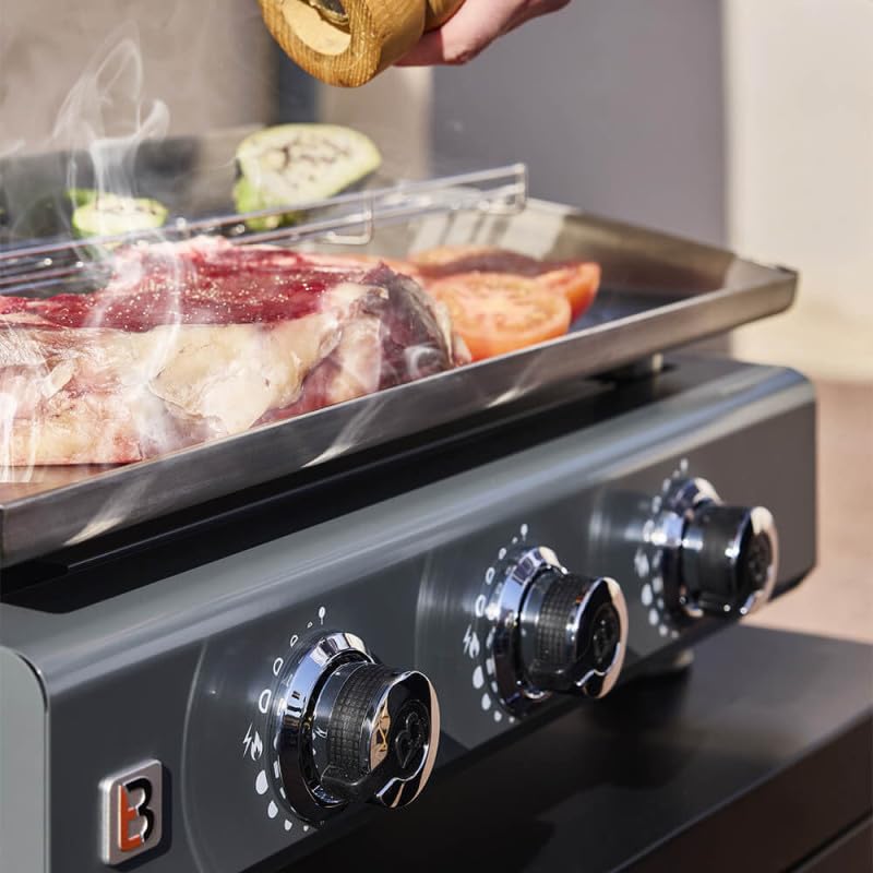 BRASERO BY FAVEX - Plancha gaz Silvia IIG 3 feux inox - 7,5 kW – plaque inox 5 mm – cuisson homogène – surface 67 x 34 cm – 8 à 10 convives