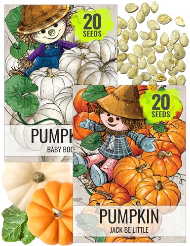 Seed Needs Pumpkin Seeds Variety Pack of 2 Non-GMO & Heirloom Mini Fruits