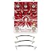 EarthQuaker Devices Astral Destiny Reverb Pedal with EBS Patch Cables