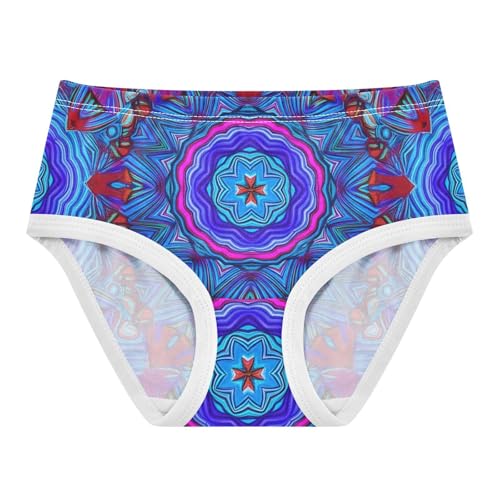 Kaleidoscope Blue Mandala Panties for Girl Girls Underwear Toddlers Cotton Florals Briefs Kids Undies 2t