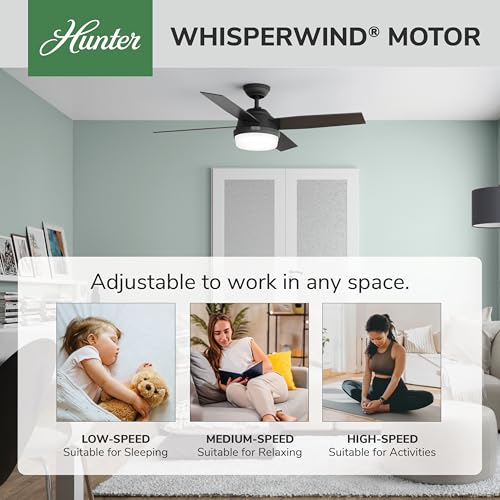 Image of Hunter Dempsey, Indoor, Ceiling Fan, Modern, 4 Blades, 52 inch, Matte Black