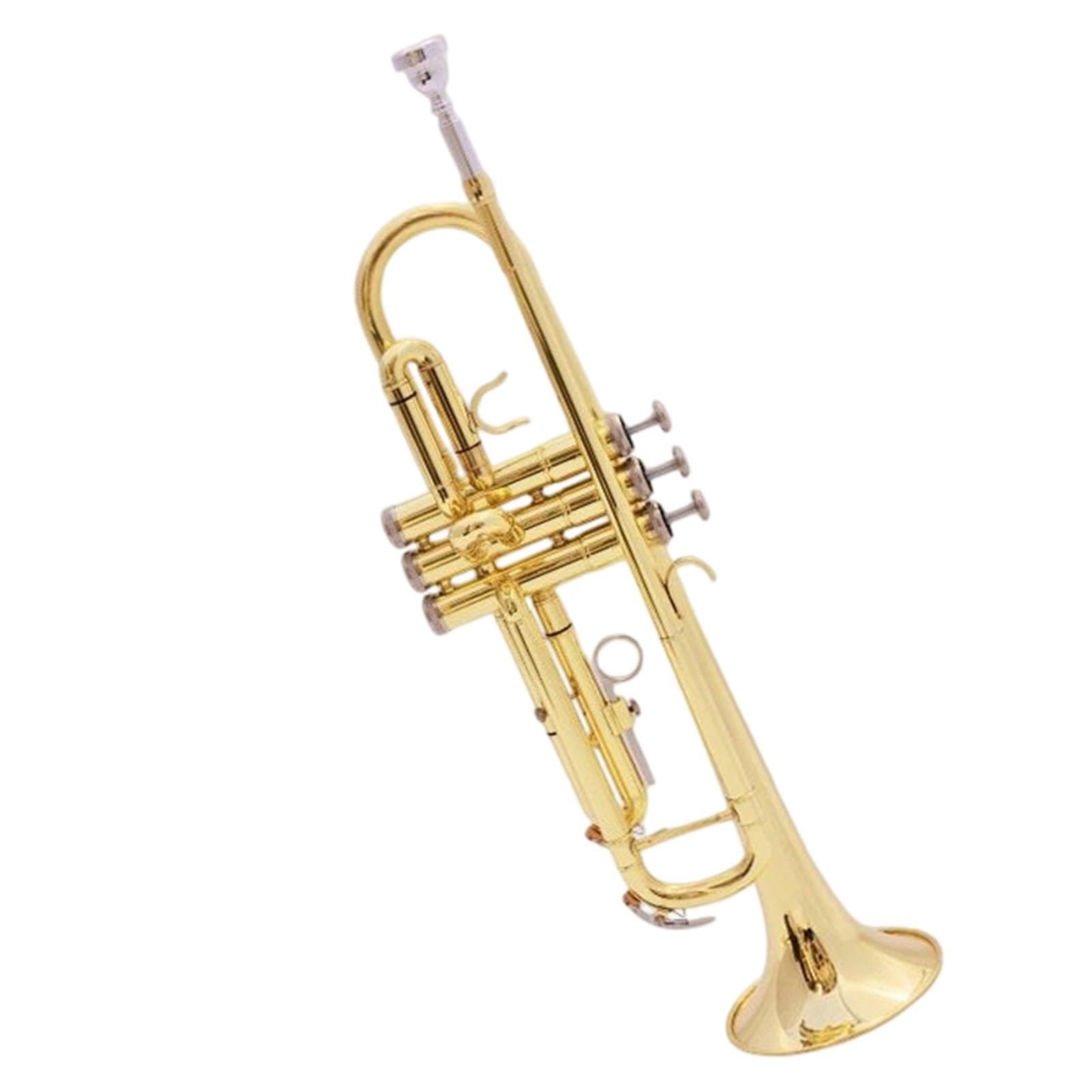 Professional Trumpet Trompeta profesional en si bemol