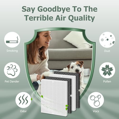 H13 High Efficiency Filter Replacement for Winix 5500-2 and AM80 Air Purifiers - Includes 2 Sets of True HEPA and Activated Carbon Filters