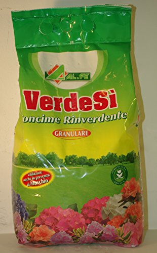 VERDESI' concime rinverdente da 5 kg