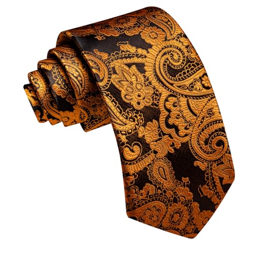 Image of Barry.Wang Paisley Tie for Men Silk Woven Necktie and Tie Clip Set Wedding Party Business Formal