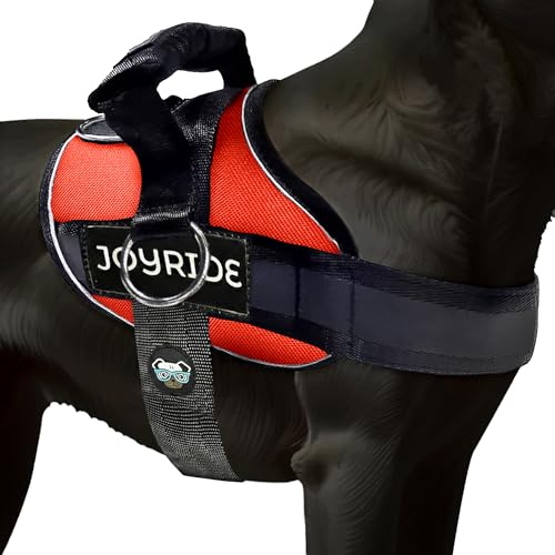 Joyride Harness 2.0 - The Original Side Ring No Pull