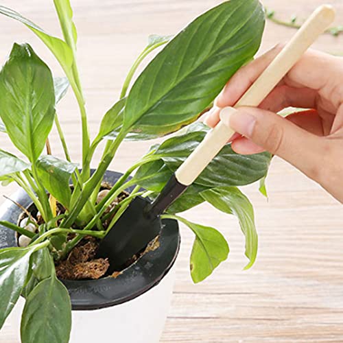 Set de herramientas para plantas suculentas 14 piezas miniatura 5