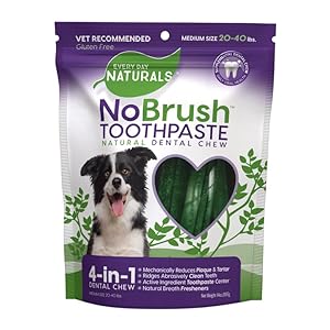 Every Day Naturals Dog Dental Chew, No Brush Toothpaste for Medium Breeds, Freshens Breath, Unique Texture Helps Reduce Plaque & Tartar, 14 oz, 1 Pack
