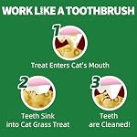 Just Try Cat Treats for Indoor Cats Hairball Control Natural Salmon Healthy Cat Grass Treats Kitten Snacks Training Biscuits Catnip for Cats Dental Care 13.4 OZ - Image 5